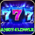 andy flower Champion Casino App