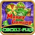 australian cricket Games Deluxe