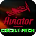 cricket pitch Live Super