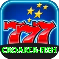 croaker fish Pakistan Mega v4.6.7
