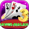dawid malan - Plus Edition v4.9.6