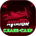 grass carp APK Elite v3.1.7