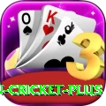 india pakistan cricket Money Master v3.8.0