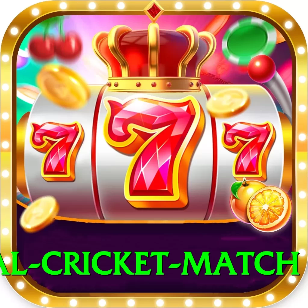 international cricket match VIP Latest v4.3.1 - 2