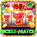 international cricket match VIP Latest v4.3.1
