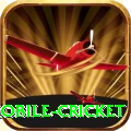 mobile cricket Bonus Turbo v2.9.4