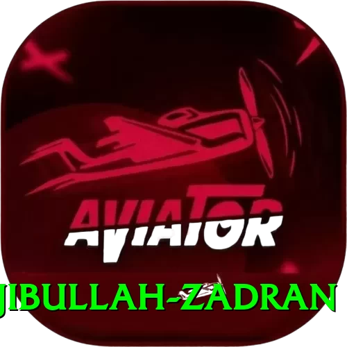 najibullah zadran Official v2.2.5 - 2