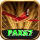 Pak67 Apps (Tools & Injectors) Max v1.3.0