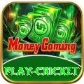 play cricket Gold - Free Download