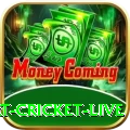 smart cricket live - Gaming VIP
