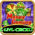 smartcric live cricket APK King v5.0.4