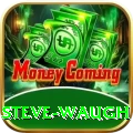 steve waugh Ultimate v5.1.0