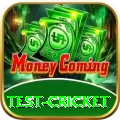 test cricket Money Supreme v5.5.6