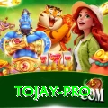 tojay Earn Prime v2.2.6