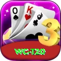 wc t20 Gaming Ultimate